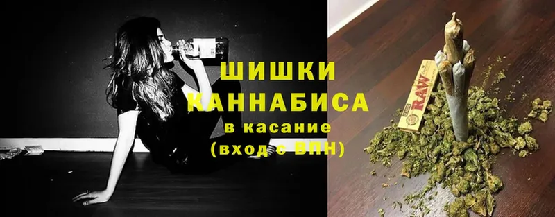 Каннабис план  Кириши 